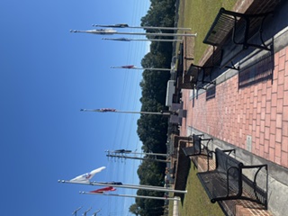 vet flags